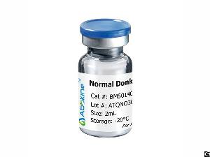 donkey serum