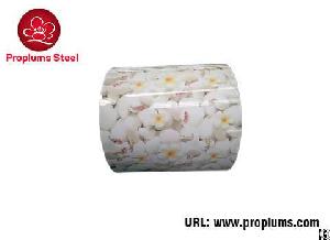 Color Coated Steel Coil
