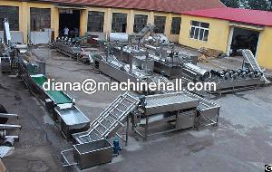 Automatic Frozen French Fries Production Line Manufacturer In China