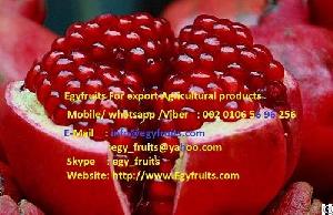 importing egyptian pomegranate