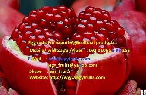 Are You Ready For Importing Egyptian Fresh Pomegranate