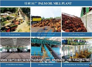 Palm Oil Production Machine, Cost On Setup Palm Oil Processing Mill In Nigeria