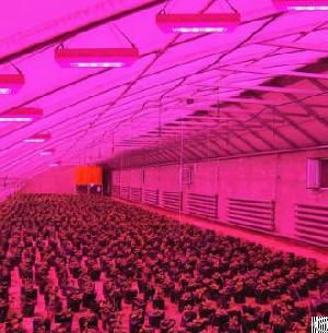 a20 led grow light