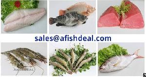 Pangasius And More Fish From Vietnam