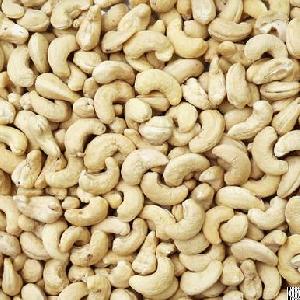 Cashew Nut With Competitive Price