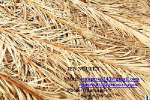 dried palm leaf vietnam