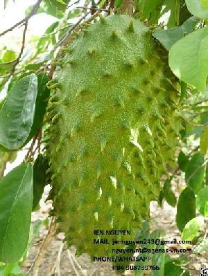 graviola powder soursop premium