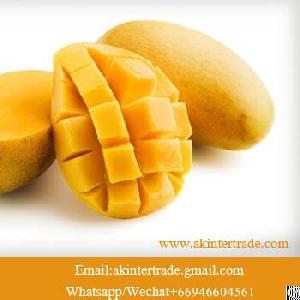 Frozen Mango Fruit Supplier Dice / Chunk / Half Cut L Ak International Trading