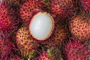 frozen rambutan fruit thailand