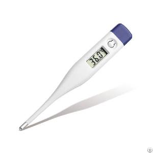 digital thermometer