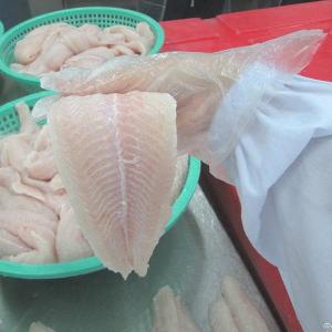 frozen pangasius fillet vietnam