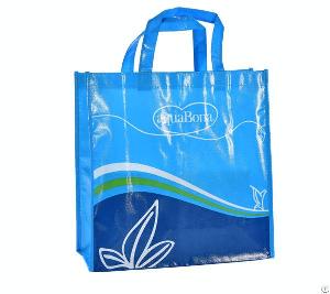 Non Woven Gift Bag