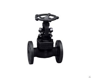 Api Forged Flange Globe Valve