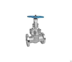 Din Flange Stainless Steel Gate Valve