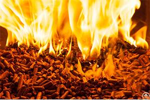 Biomass Pellet Fuel Is A Renewable New Energy