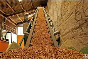 Biomass Pellet Machine Wood Pellet Machine Is Environmental Protection Equipment