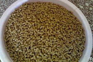 Feed Pellet Machine How To Design A Perfect Feed Formula For Broilers