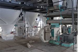 How To Choose A Suitable Feed Pellet Machine