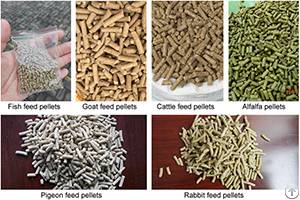 feed line pellet plant