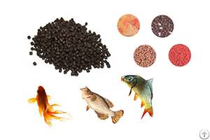 steps affect processing floating fish feed pellets