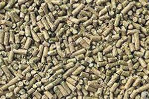 things sheep feed pellets flat die pellet machine