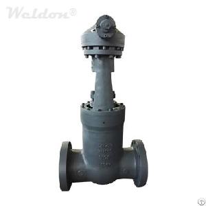 En 1.0619 Gate Valve