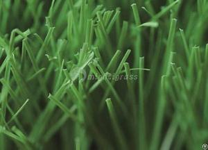 Commercial Artificial Grass, Mt-venus