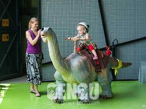 Apatosaurus Walking Ride Ar-99