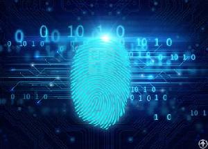 Automated Fingerprint Identification System