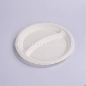 biodegradable 9 2 plate