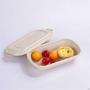 eco 750ml disposable bagasse container