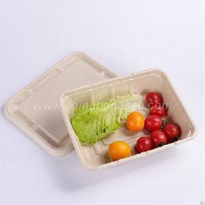 Sugarcane 1500ml Rectangle Container