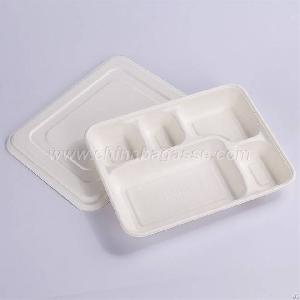 Sugarcane Lid For 5 Compartment Deep Tray