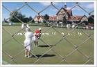 Golf Course Chain Link Fencing Mesh