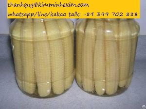 Canned Baby Corn In Brine From Viet Nam