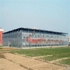 Agricultural Polycarbonate Greenhouse