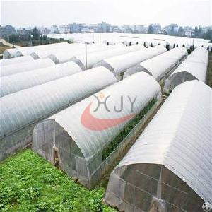 Agricultural Single Span Plastic Film Greenhouse