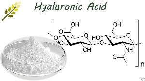 hyaluronic acid