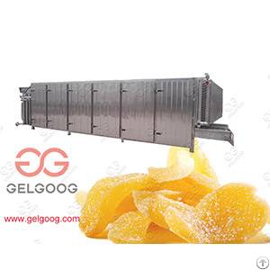 Ginger Chips Drying Machine Hot Sale
