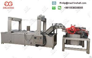 Continuous Frying Machine