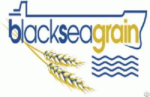 Conference Black Sea Grain Oil Trade 2020