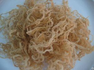 dried eucheuma cottonii seaweed golden irisk seamoss kappaphycus alva