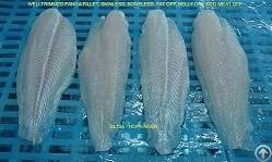 Basa Fillet Hophafish Dl725