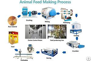 2-3t / H Animal Feed Plant Introduction