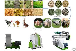 Chicken Feed Pellet Mill For Farm Use