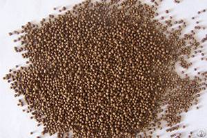 Extrusion Technology And Feed Production Process Control