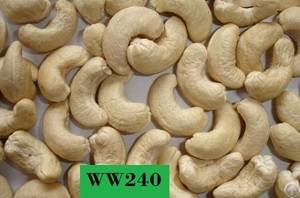 cashew nuts export commitment