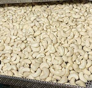 cashew vietnam ww240