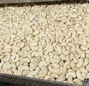 Cashew Vietnam Ww240