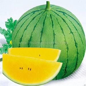 American Markets Hybrid F1 Watermelon Seeds